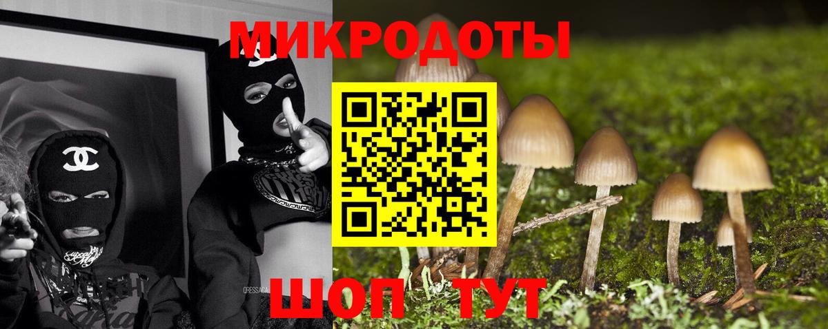 Галлюциногенные грибы Cubensis Дубна