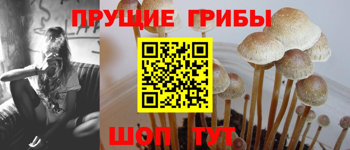 Дубна  Псилоцибиновые грибы Magic Shrooms  Вход с VPN  Псилоцибиновые грибы Magic Shrooms 